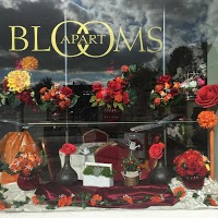 Blooms Apart 1060669 Image 1